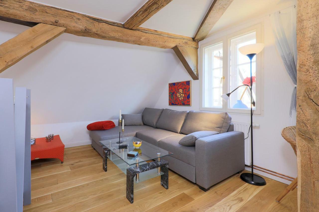 Alte Schmiede Bleckede Apartment Exterior photo